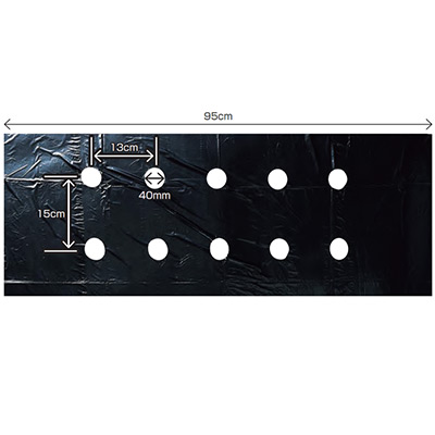 玉ねぎ穴あきマルチ｜種（タネ）,球根,苗,資材,ガーデニング