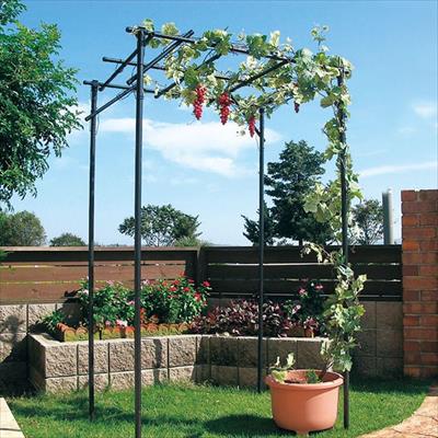 くだもの棚セット KT-S