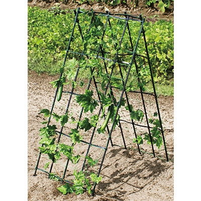 まきまきトレリス 1800