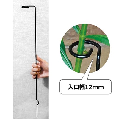 ワンダーステッキ「茎支柱」