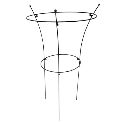 ショートオベリスク