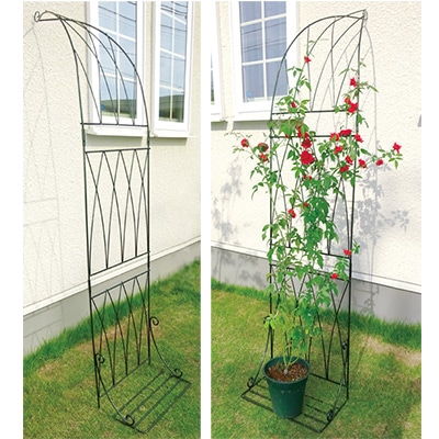 ワイドハーフアーチ