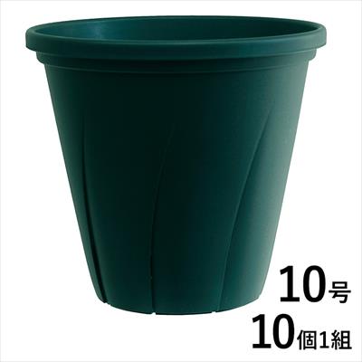 根はり鉢8号 種 タネ 球根 苗の通販はサカタのタネ オンラインショップ