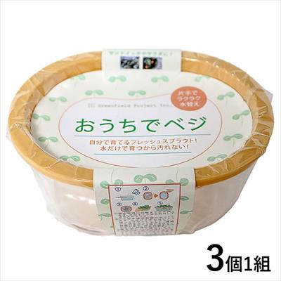 種と水と容器だけでok 簡単 スプラウト栽培 特集 キャンペーン 種 タネ 球根 苗の通販はサカタのタネ オンラインショップ