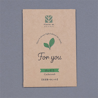 ぷらんたん（R） クラフトミニ けいとう