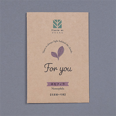 ぷらんたん（R） クラフトミニ ネモフィラ
