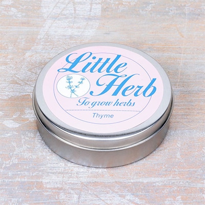 リトルハーブ  タイム