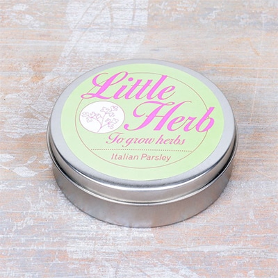 リトルハーブ イタリアンパセリ