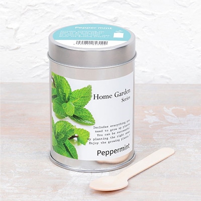 ホームガーデン ペパーミント