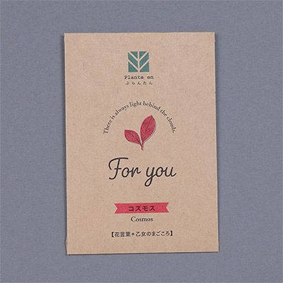 ぷらんたん（R） クラフトミニ コスモス