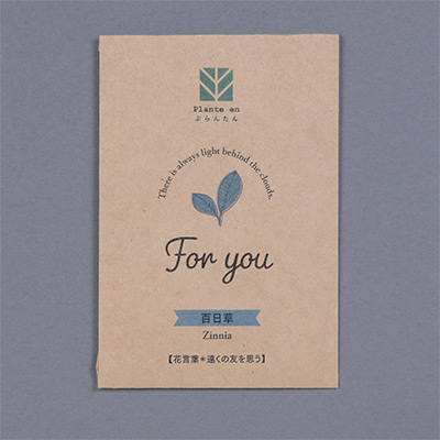 ぷらんたん（R） クラフトミニ 百日草（ジニア）