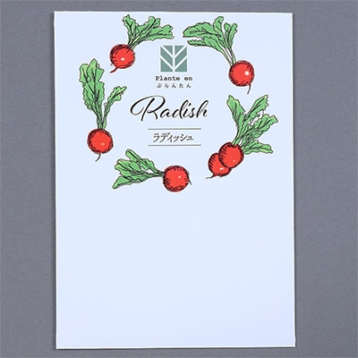 ぷらんたん（R） ハーブ＆ベジ ハツカダイコン（ラディッシュ）
