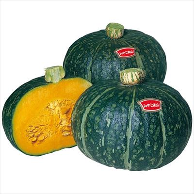 神奈川 伊藤農園カボチャ みやこ3玉