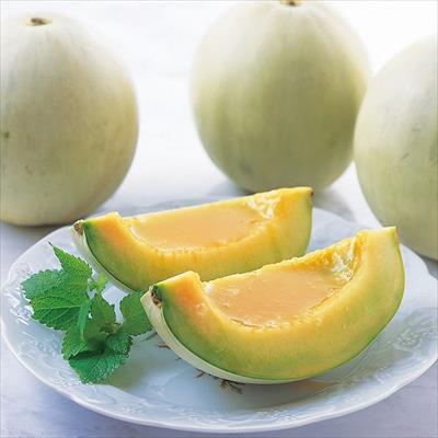 鳥取 ミルク栽培プリンスメロン