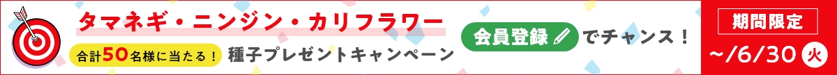 タマネギ・ニンジン・カリフラワー種子プレゼントキャンペーン！6月30日まで