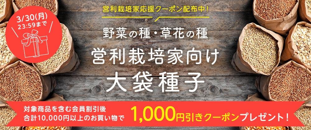 営利種子含む10,000円以上で1,000円OFFクーポン配布中