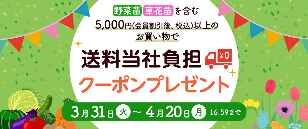 野菜・草花苗を1点以上含む合計5,000円以上のお買い物で送料当社負担クーポンプレゼント!2026年4月20日(月)16:59まで
