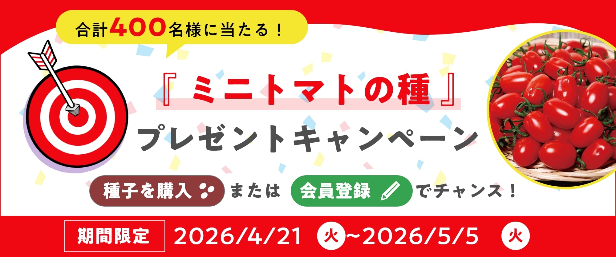 ミニトマト「プリンセスアイコ」種子プレゼント