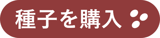 種子を購入