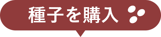 種子を購入