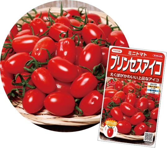 プリンセスアイコ