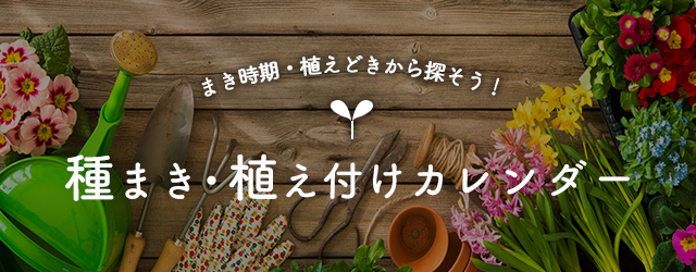 種まき・植え付けカレンダー｜種（タネ）,球根,苗,資材,ガーデニング