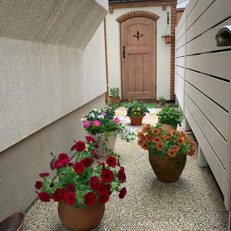 玄関アプローチからお庭に並ぶ、ビューティカルの鉢植えの写真