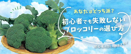 あなたはどっち派？初心者でも失敗しないブロッコリーの選び方