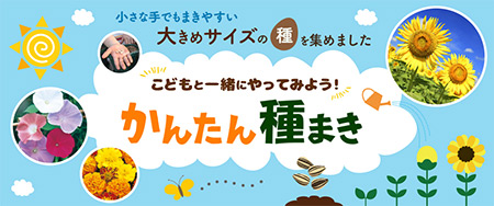 こどもと一緒にやってみよう！かんたん種まき