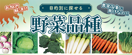 目的別に探せる野菜品種 お悩み解決！異常気象に負けない！