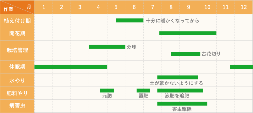 関東標準 クルクマの栽培カレンダー