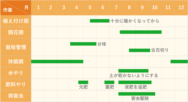 関東標準 クルクマの栽培カレンダー