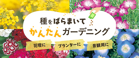 種をばらまいてかんたんガーデニング