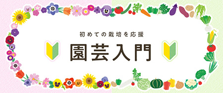 初めての栽培を応援 園芸入門