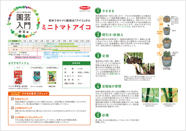ミニトマト アイコ栽培の解説イメージ画像