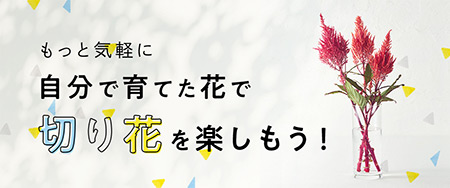 もっと気軽に自分で育てた花で切り花を楽しもう！