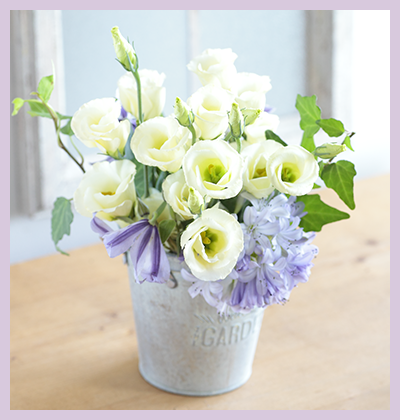 トルコギキョウ ソロの写真