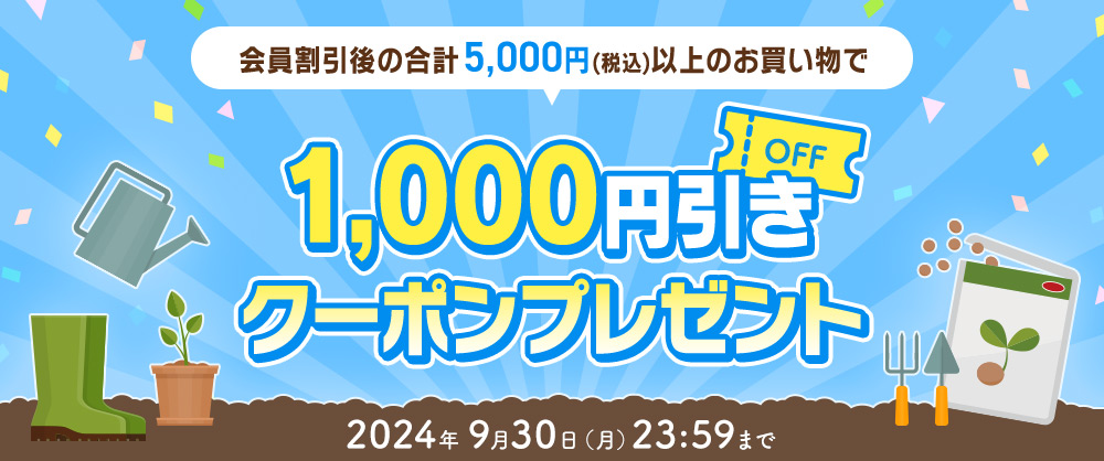 5,000円以上で使える 1,000円引きクーポンプレゼント！