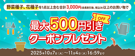 草花の種のランキング