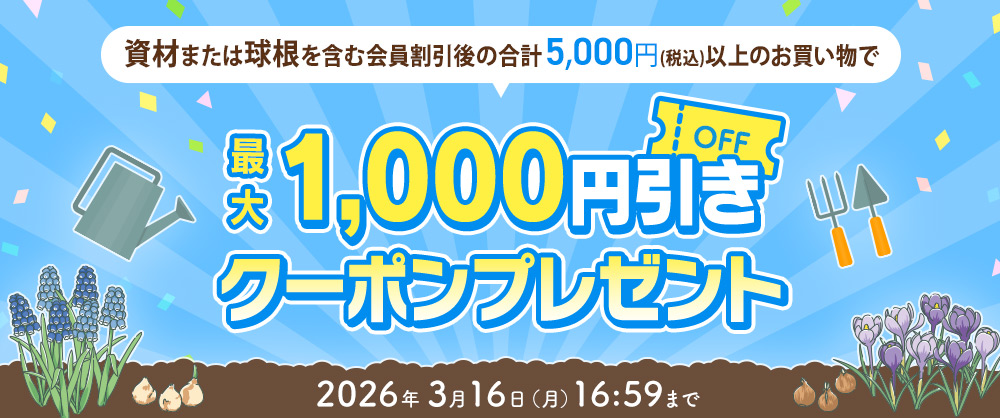 資材、または球根を含む5,000円以上で最大1,000円引きクーポンプレゼント!2026年3月16日(月)16:59まで
