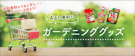 あると便利なおすすめガーデニンググッズ