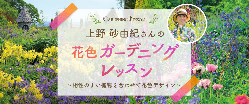 ガーデンデザイナー上野 砂由紀さんのガーデニングレッスン～相性のよい植物を合わせて花色デザイン～