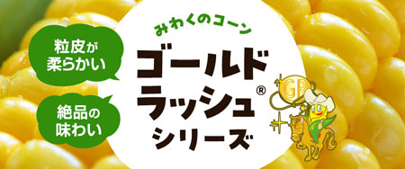 粒皮が柔らかい 絶品の味わい みわくのコーン「ゴールドラッシュ(R)」シリーズ