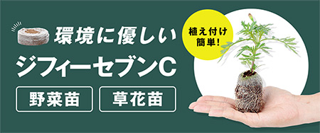 環境に優しいジフィーセブンC 野菜苗 草花苗