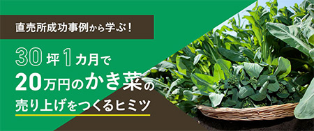 直売所成功事例から学ぶ！30坪1カ月で20万円のかき菜の売り上げをつくるヒミツ