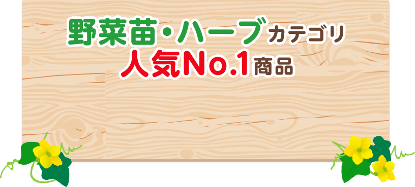 おうちでネットメロン ころたん 種 タネ 球根 苗の通販はサカタのタネ オンラインショップ