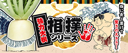 畑に長く置けて驚きの大きさ！強力大根 相撲シリーズ