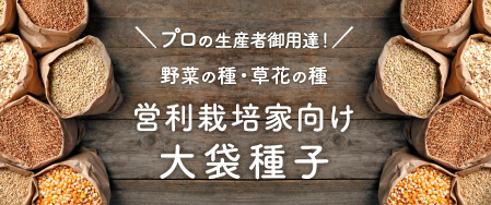 プロの生産者御用達！ 野菜の種・草花の種 営利栽培家向け大袋種子