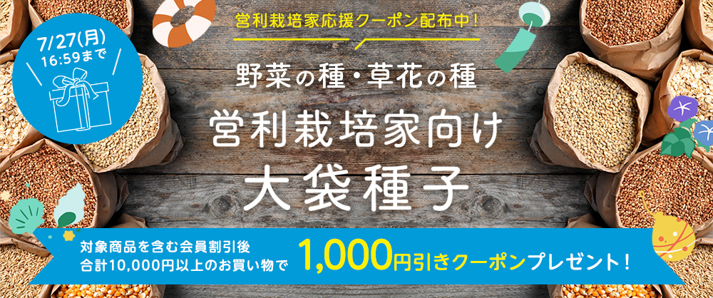 営利種子含む10,000円以上で1,000円引き