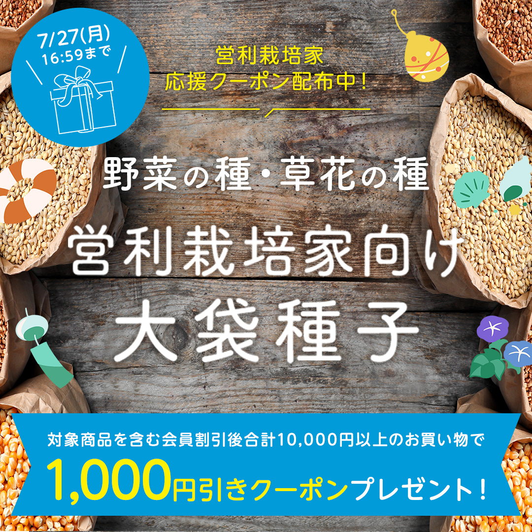 営利種子含む10,000円以上で1,000円引き｜種（タネ）,球根,苗,資材